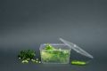 disposable Transparent Square food container 12 pices. 