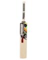 Premium Sports Heavy Weight Random Bat for Hard Ball Cricket (Approx 1-1.2KG). 