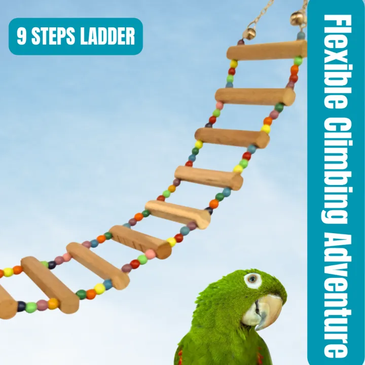 Parrot%20Toys,%20Bird%20Toys,%20Cage%20Accessories%20for%20Birds%20%E2%80%93%208-in-1%20Bird%20Toys%20Set%20with%20Parrot%20Swing,%20Parrot%20Ladder,%20Bird%20Toys%20for%20Parrot,%20Bird%20Toys%20Pack,%20Bird%20Toys%20Wooden%20Ladder,%20Parrot%20Swing%20Ladder%20for%20Budgies,%20Lovebirds,%20Cockatiels,%20Finches%20-%20Image%205