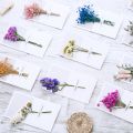 Dry Flower Greeting Card Handmade Wish Card Message Cards Love Card For Wedding Birthday Valentine's Day. 