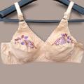 FairyShop Cotton Embroidery Bra for Girls and Women - 2TX. 