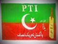 Pakistan Tehreek-e-Insaf  Flag, Imran Khan Party Flag & 28 inch length, 20 inch widht. 