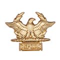 Westair Roman Empire SPQR Military Eagle Ancient Rome pin brooch Golden Emblem Badge. 