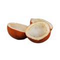 Khopra Sabut کھوپرا ثابت (Dry Coconut Whole) - 100 Grams. 
