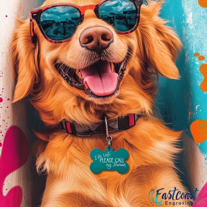 Personalized%20Stainless%20Steel%20Tag%20-%20Dog%20ID%20Tag%20-%20Custom%20Pet%20ID%20-%20Dog%20Collar%20Name%20Tag%20-%20Cat%20Tag%20-%20Metal%20Dog%20Tag%20-%20Image%204