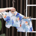 Elegantstunning Boys Short Sleeves Shirt Suit Summer Beach Casual Tops Shorts Two-piece Set For 2-6 Years Old Kids. 