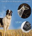 2 In 1 Pet Dog Training Clicker Cat Training Whistles Key Ring and Wrist Strap Pets Trainings behavior pet Supplies - PS602 - PS-TA. 
