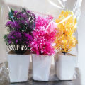 Pack of 3 Mini Plant Artificial Decoration Piece with pot Best for home & Office Decoration purpose. 