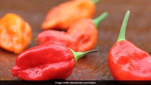 red%20bhoot%20jolokia%20chili%2050gm%20-%20Image%202