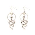 Popular Earrings Animal Snake Stud Earrings Long Silver Snake Earrings for girls for women low price. 