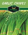 Garlic Chives Herbs seeds 50 Plus seeds. 