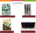 Techmanistan Pack of 10 - Self-Adhesive Plant Climbing Wall Fixture Clips, Vine Fixer Invisible Hook Plants Traction Clip. 