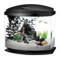 White Marble Gravel 1 KG - Large Size - Aquarium and Decorative Stones. 