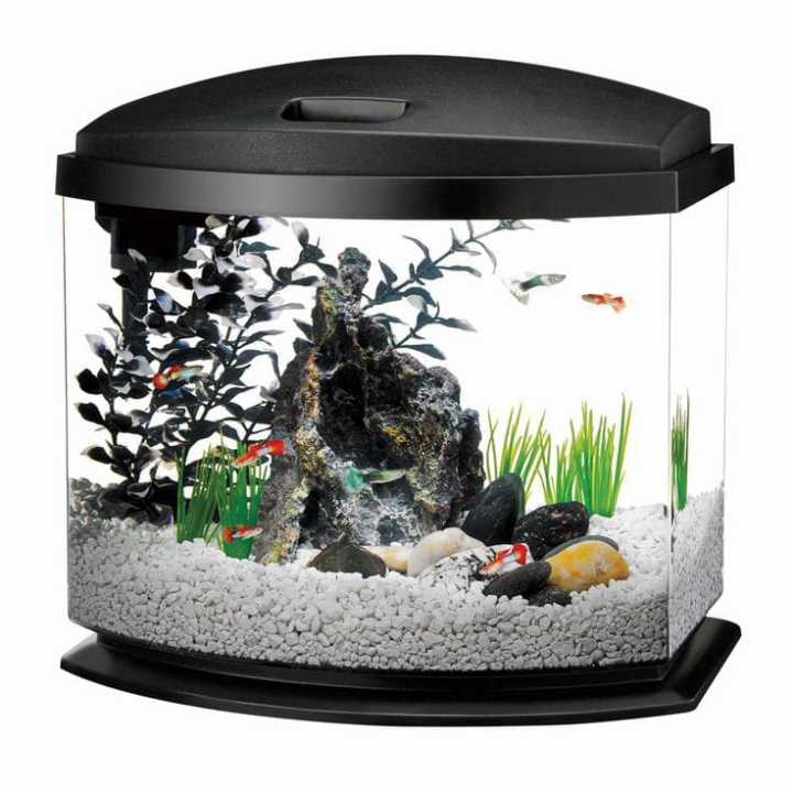 White%20Marble%20Gravel%201%20KG%20-%20Large%20Size%20-%20Aquarium%20and%20Decorative%20Stones%20-%20Image%208