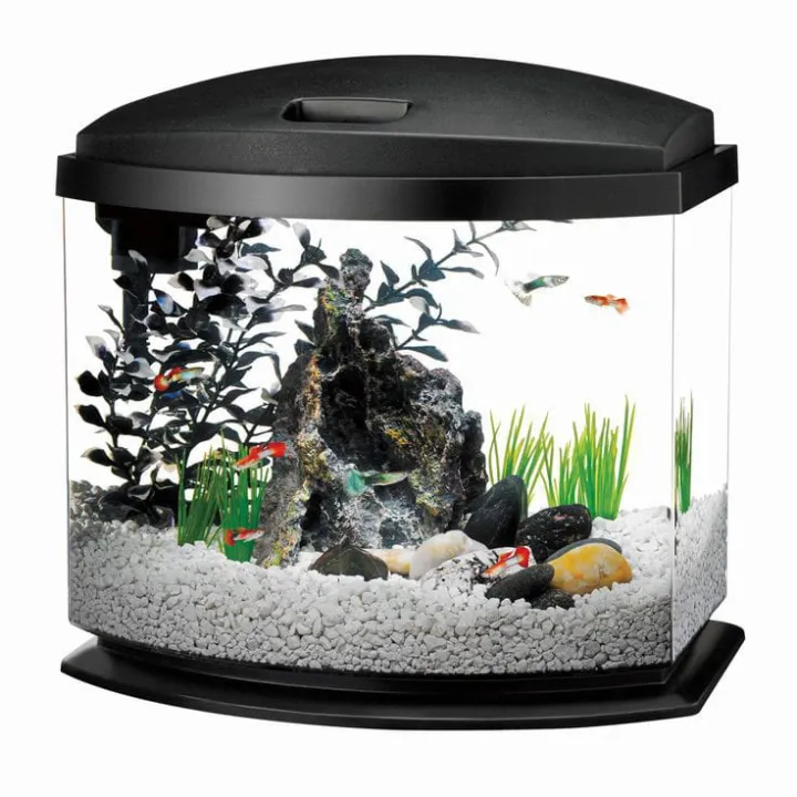 White%20Marble%20Gravel%201%20KG%20-%20Large%20Size%20-%20Aquarium%20and%20Decorative%20Stones%20-%20Image%208