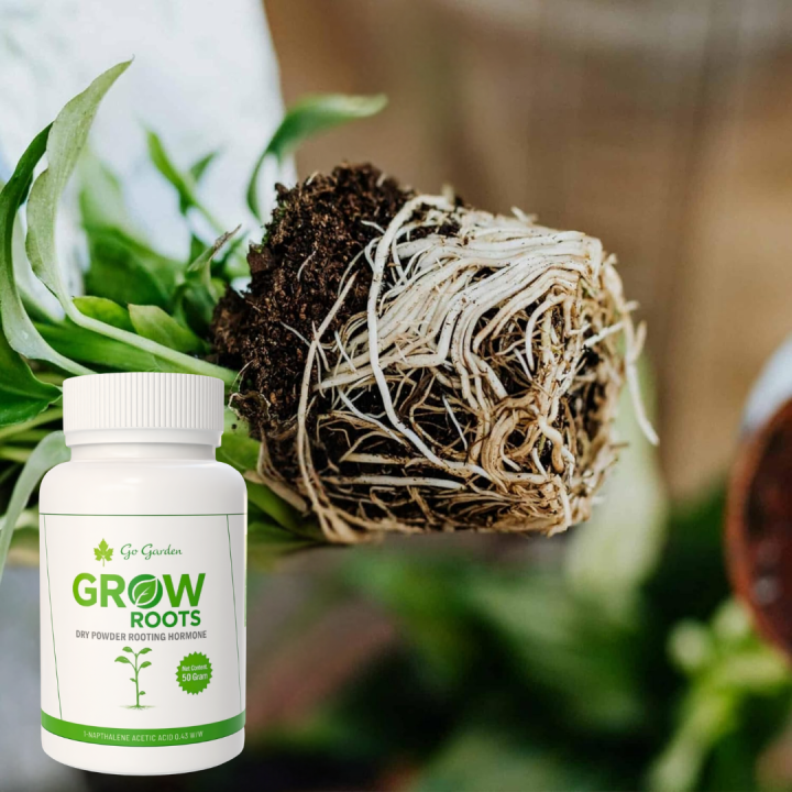Best Rooting Hormone Powder for Plants – Root Starter for Cuttings of Rose, Hibiscus, Money Plant, Mint, Basil & Succulents | Fast Root Growth for Reliable Propagation in Soil or Water – Moji Mall