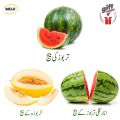 Fruit seed Pack Hybrid F1 Anarkali Watermelon , Desi Watermelon and Desi Melon seeds By Moji Mall. 