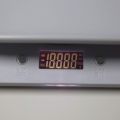 Digital Animal Scale For Dog and Cat. 