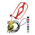 Pet Bird Harness and Leash,Adjustable Parrot Bird Harness Leash - Pet Anti-Bite Training Rope Outdoor Flying Harness and Leash(P). 