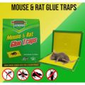 MOUSE TRAP | MOUSE TRAP SHEET | MOUSE TRAP BOOK | RAT TRAP | RAT CATCHER BOOK | Mouse Trap | Mouse Trap Sheet | Mouse Trap Book | Rat Trap | Rat Catcher Book | Effective Rodent Control Solution. 