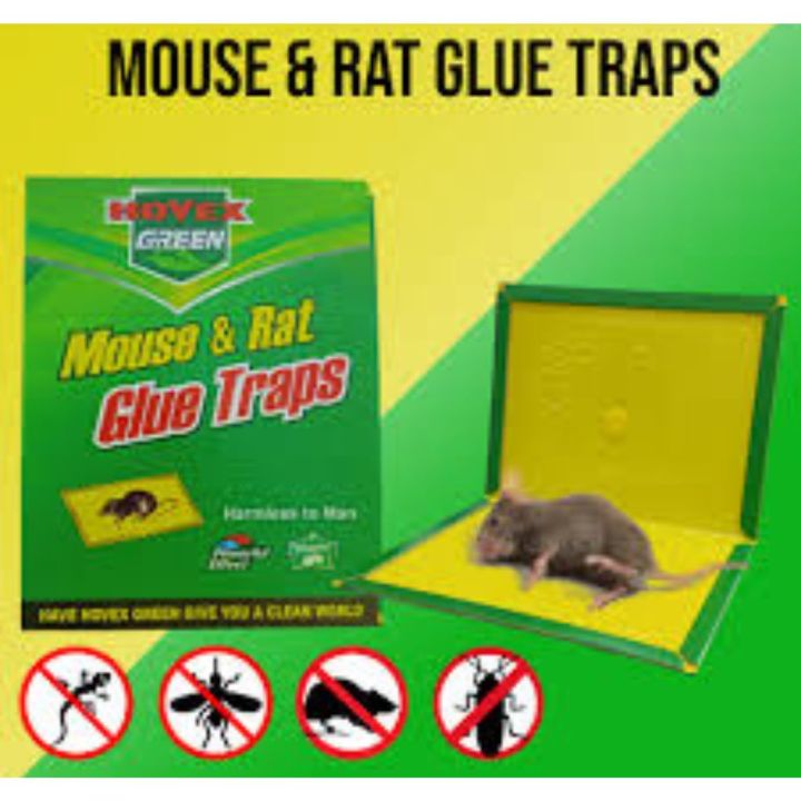 MOUSE%20TRAP%20%7C%20MOUSE%20TRAP%20SHEET%20%7C%20MOUSE%20TRAP%20BOOK%20%7C%20RAT%20TRAP%20%7C%20RAT%20CATCHER%20BOOK%20%7C%20Mouse%20Trap%20%7C%20Mouse%20Trap%20Sheet%20%7C%20Mouse%20Trap%20Book%20%7C%20Rat%20Trap%20%7C%20Rat%20Catcher%20Book%20%7C%20Effective%20Rodent%20Control%20Solution%20-%20Image%202