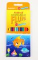 Goldfish Flupa 12 Colour Full Size Pencils Cardboard Packet Big Size | Gold Fish Flupa 12 Colour Pencil Large | Goldfish Colored Pencil Pack. 