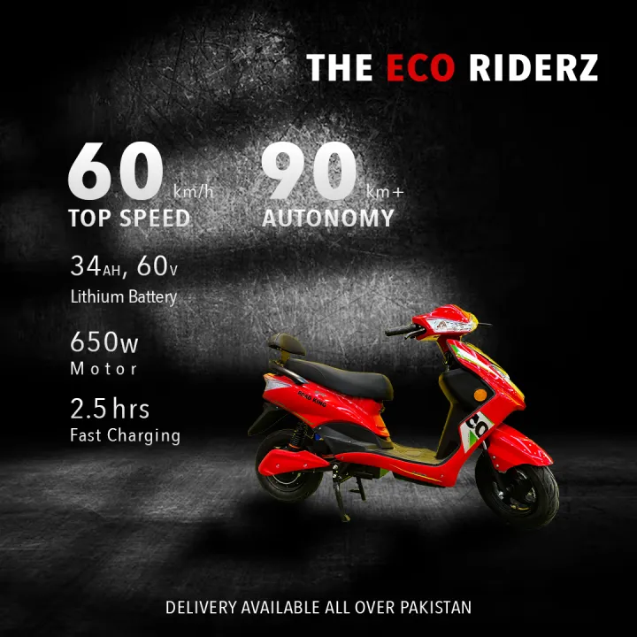 Road King R6 Electric Scooter with Lithium Battery - Powerful 650W ...