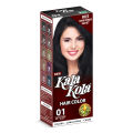 KalaKola Hair Color Black 01 100ml. 