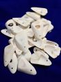 Natural Marine Pieces For DIY Crafts | 15 Mix Size pcs (2.5cm to 5cm) | Real Cut Marine Pieces With Hole | Use As Beads, Pendent Or Aquarium | Ideal For DIY Jewelry Making, Crafting, And Home Decoration. 