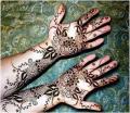 Mehendi Corn 3 PCs Set Beautiful Colour ~~~~. 