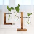 Hydroponic Vase-Vintage Desktop Plant Terrarium Planter Bulb Glass Vase- Water Planting Propagation Stations Home Decoration. 