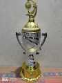 top best reward golden& silver plastic trophy for cricket,football,badminton. 