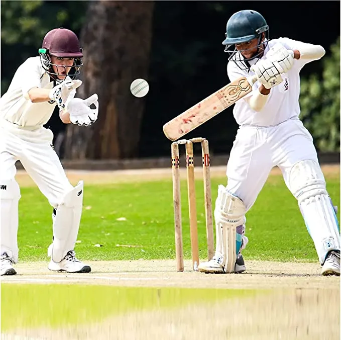 5RIDGE%2010%20PCS%20White%20Cricket%20Practice%20Balls%20-%20Safe%20&%20Soft%20Rubber%20Balls%20for%20Indoor%20and%20Outdoor%20Training%20Sessions%20%7C%20Ideal%20for%20Cricket%20Practice%20-%20Image%202