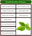Mehndi / Henna Leaf powder – Pak Herbs - 100 gm - 100% Natural - Hair & Beard Dye – 100% Natural & Chemical Free [مہندی] – 100 gm. 