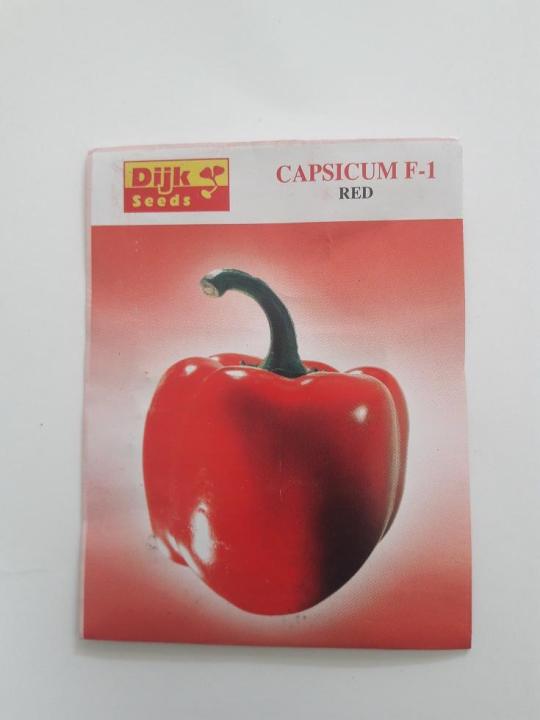 Capsicum%20Red%20F1%20Hybrid%20Vegetable%20Seeds%20Bell%20pepper%20-%20Image%204