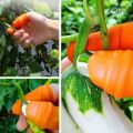 Multi-Purpose Silicone Thumb Knife Finger Protector Vegetable Harvesting Knife Plant Blade Scissors Cutting Rings, Kitchen Accessories, Garden Tools. 