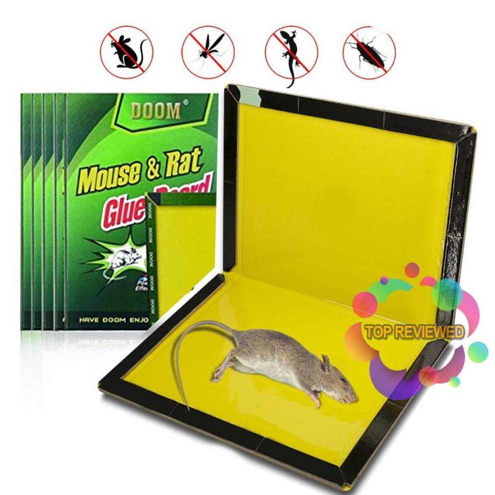 Reusable Expert Catch Mouse Glue Traps Mouse Size Glue Traps Sticky Boards Mouse Catcher Mice Professional Strength Glue Insect Lizard Spider Cockroach Rodent Snake Strongl