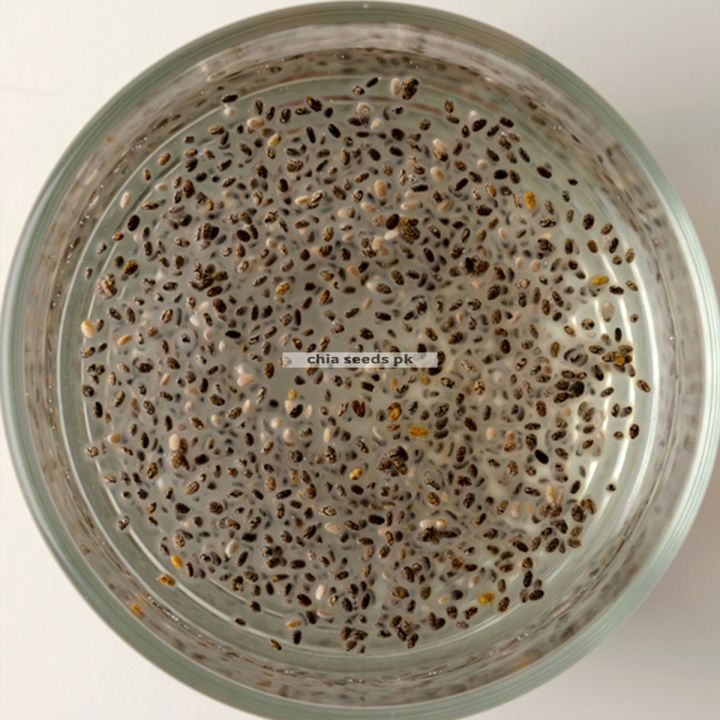 Premium%20Organic%20Chia%20Seeds%2050g%20%E2%80%93%20High%20Fiber,%20Omega-3%20&%20Protein%20%E2%80%93%20Superfood%20for%20Weight%20Loss%20&%20Energy%20Boost%20-%20Image%206