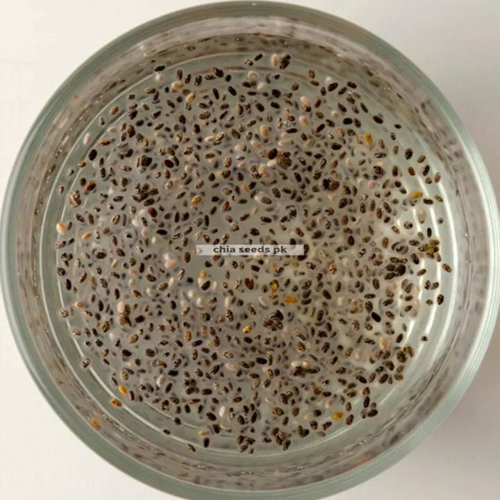 Chia%20Seeds%20(300%20Gram)%20Organic%20For%20Effective%20Weight%20Loss%20Neat%20&%20Clean%20Imported%20Seed%20-%20Image%208