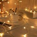 PACKIFY Golden Fairy Lights 5 meter 30 LEDs 220V Plug - String LED Lights for Room Decoration. 