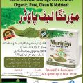 Moringa Leaf Powder Organic Neem powder 250 gm. 