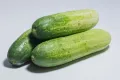 "Apnaugao Heirloom Cucumber Seeds Collection: Packets of 6  Featuring White Wonder, Marketer, Cornichon de Paris, Alficoz, Ashley, and Kheera Varieties for a Diverse Harvest. 
