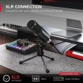 FIFINE K669D XLR Dynamic Microphone Cardioid Pattern Vocal Podcast Microphone Metal Mic for Broadcast/Dubbing/Video Recording. 