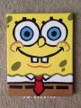 Multicolor Spongebob cartoon(3 sizes available) on canvas acrylic painting for kids room, dinning room, kitchen, coffee shop, bedroom, drawing room, gift for wedding, birthday, new year, school, college, handmade home decor.. 
