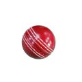 cricket pace ball 300grams. 