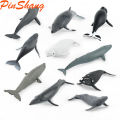 PinShang Marine Sea Life Whale Figurines Beluga Humpback Whale Action Figures Ocean Model Ornaments Toys. 