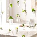 Set of 8 Hanging Glass Vases for Home Decor | Rustic Rope Design | Housewarming Gift | Beautiful Gift Ideas for Home Decorations - Event Decore. 