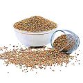Bajra باجرہ  | Premium Pearl Millet Seeds For all kind of Birds - 1 KG. 
