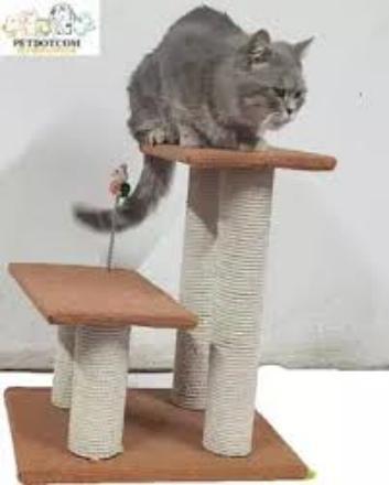 Cat Scratch Post - 4 Pools - Double Bed - Best For Cats