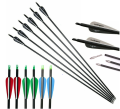 Multiple Quality and Spine Archery Arrows for Recurve and Compound Bow Shooting. 